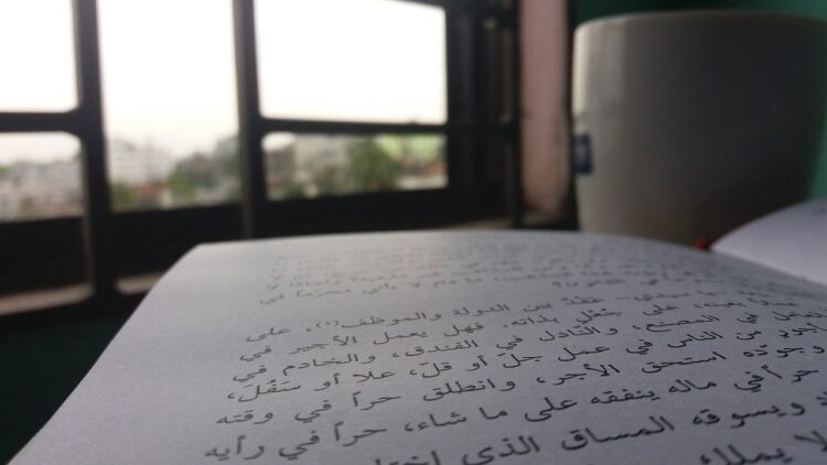 النقد الأدبي