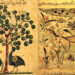 الحيوان في فلسفة العالم الإسلامي