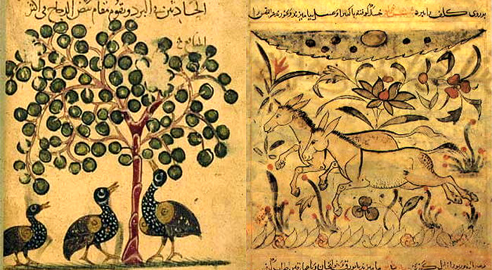 الحيوان في فلسفة العالم الإسلامي