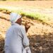 حكاية النبي موسى والراعي في المثنوي