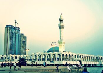 البوابة الجغرافية إلى مكة: تاريخ جدة في القرنين التاسع عشر والعشرين