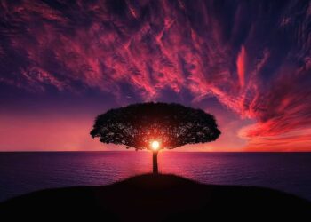 الحريق