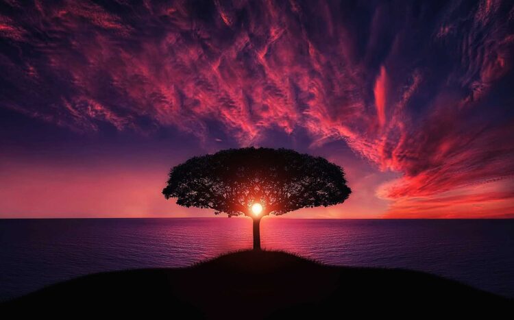 الحريق