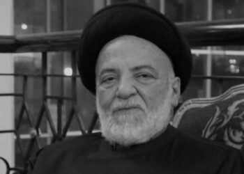 محمد حسين الأمين
