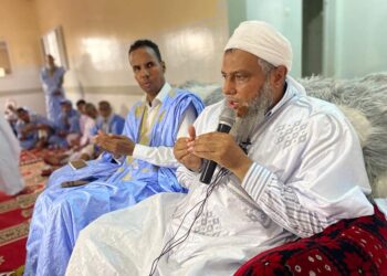 الشيخ الإمام محمد الحسن ولد الددو