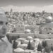 علال الفاسي والقضية الفلسطينية (1): النكبة المخجلة والفضيحة المؤلمة