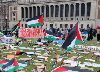ما هي الخطوة التالية للحركة الطلابية المؤيدة لفلسطين في الجامعات الأمريكية؟