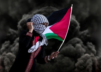 حالة نضالية ملهمة.. لمصلحة من يقزم انتصار غزة؟