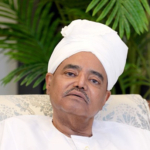 محمد سليمان الشاذلي